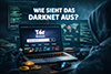 Wie sieht das Darknet aus icon